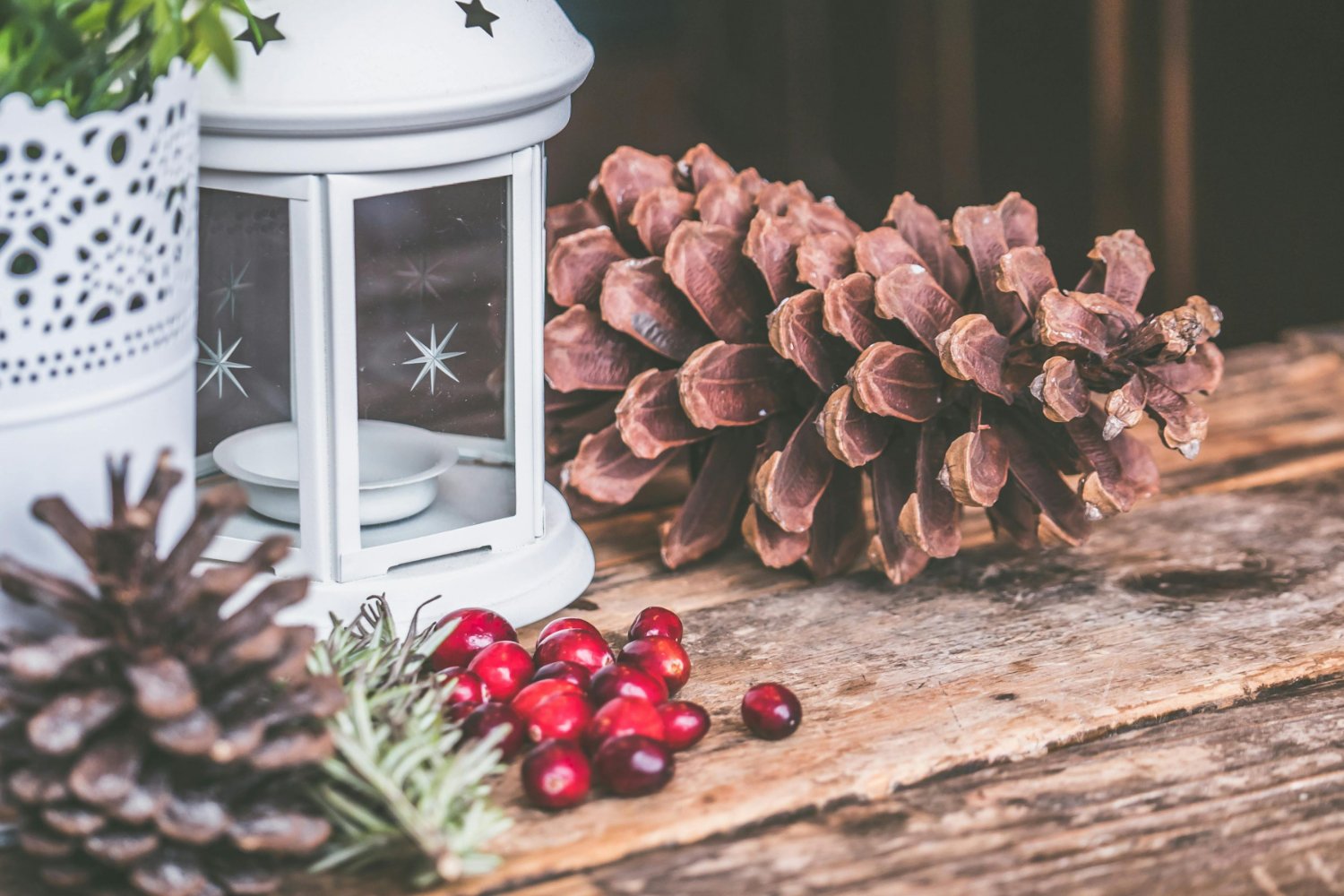 Holiday season